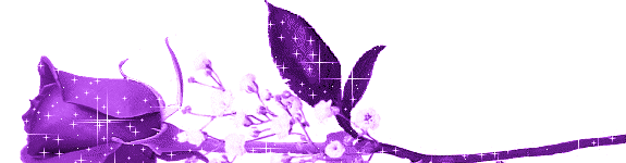 收集8