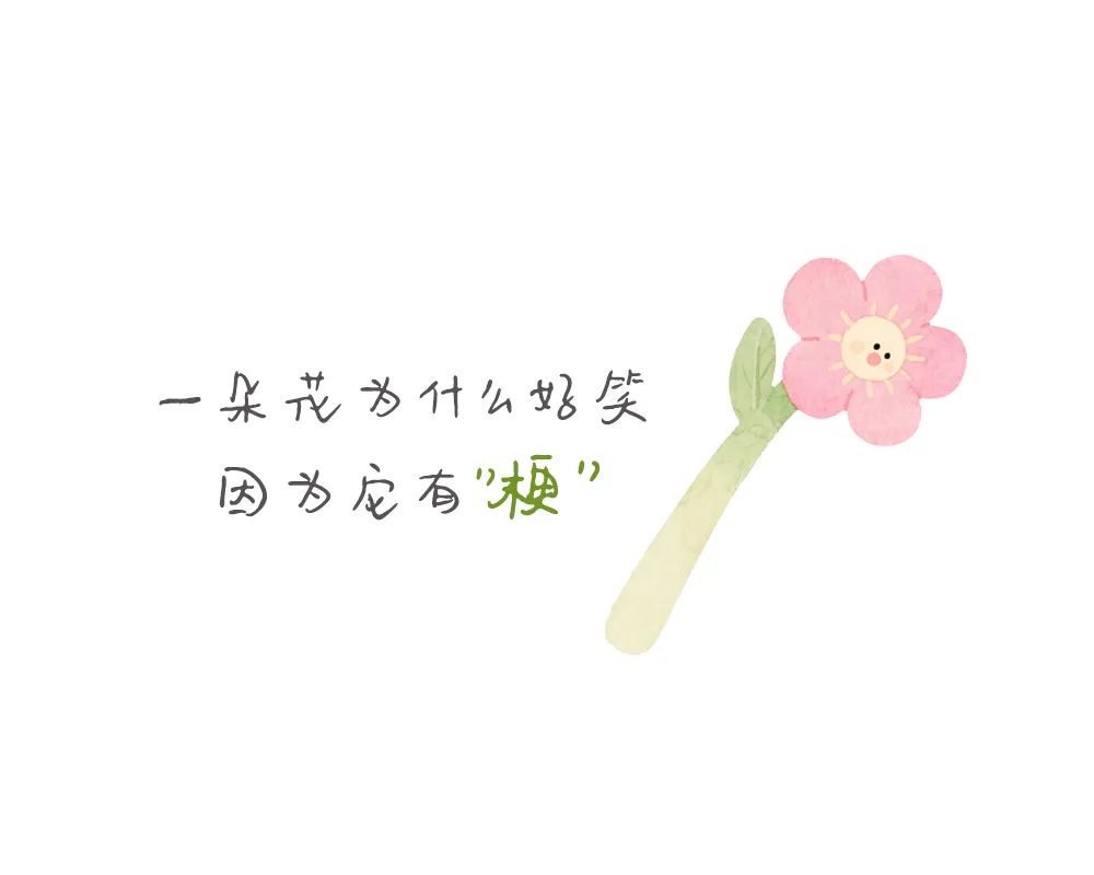 一朵花